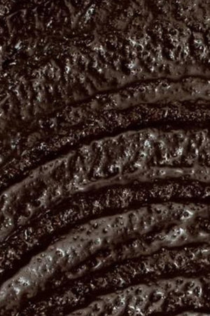 UpCircle Beauty - Coffee Body Scrub with Lemongrass - 220ml