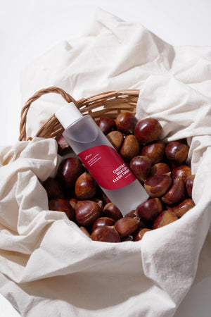 ISNTREE - Chestnut BHA 2% Toner - 100ml