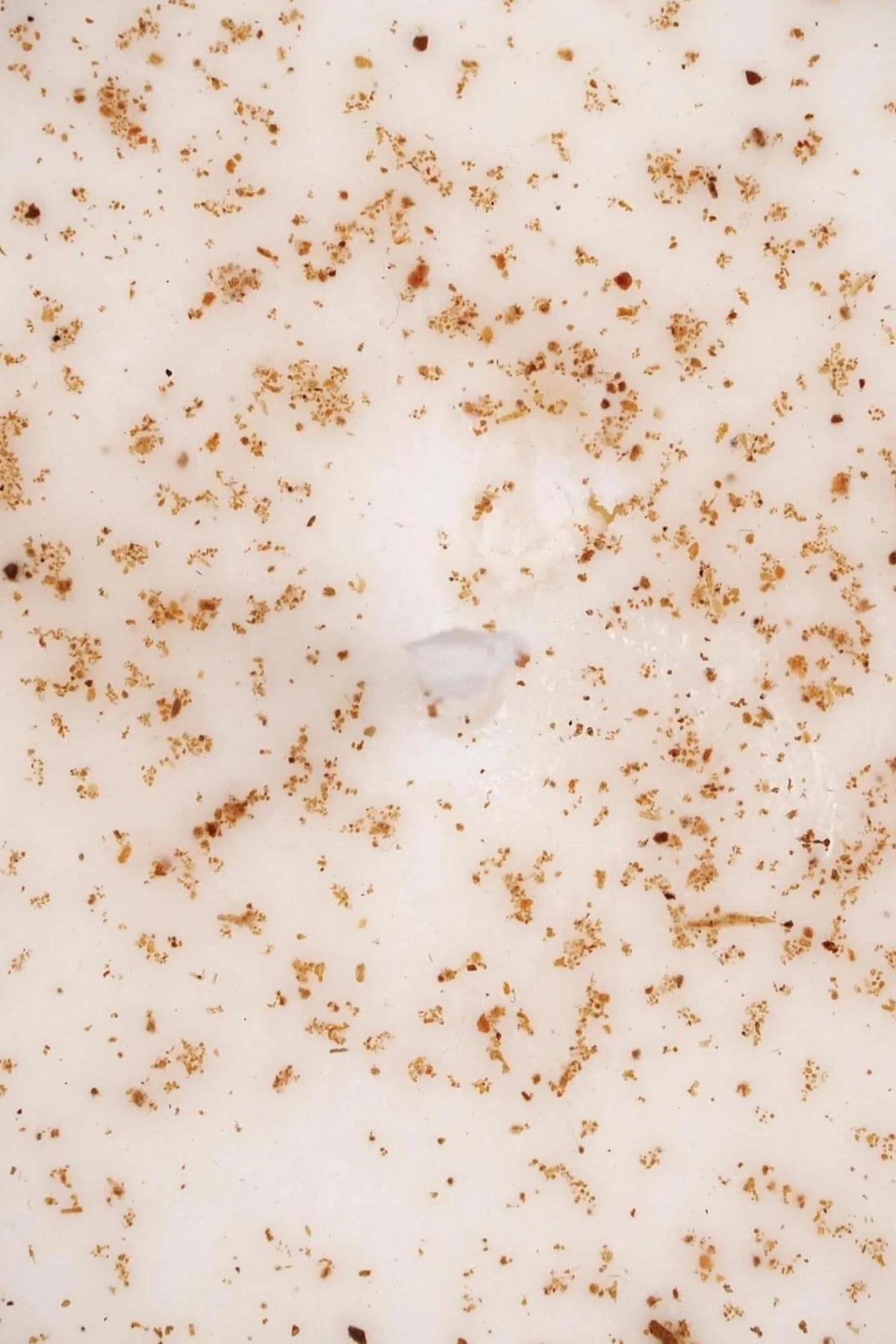 UpCircle Beauty - Natural Soy Candle (2 types) - 180ml